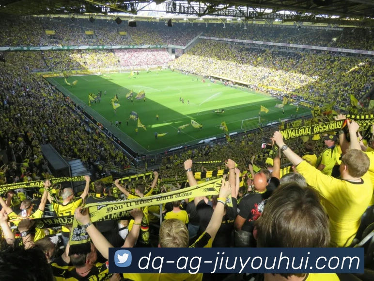 多媒体互动体验